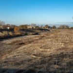 SIRC 17 By Philippe Clin 3269 Copier 150x150