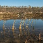 SIRC 17 By Philippe Clin 3300 Copier 150x150