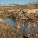 SIRC 17 By Philippe Clin 3305 Copier 150x150