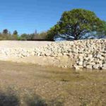 20170410 093635 150x150