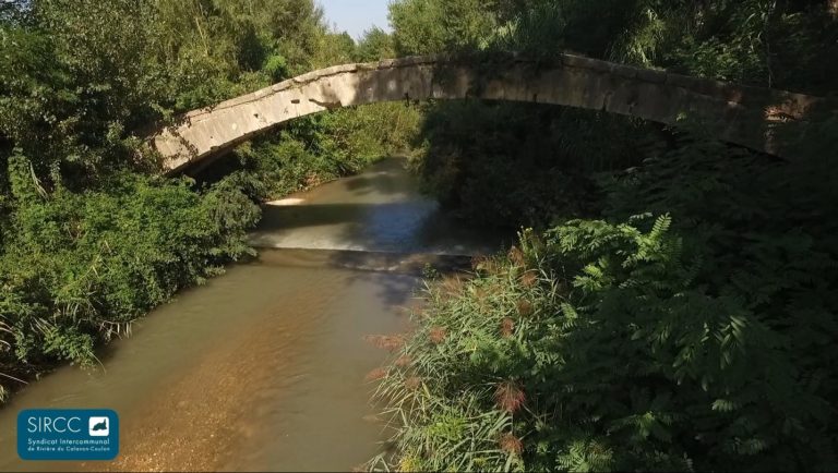 Vignette Présentation SIRCC 768x434