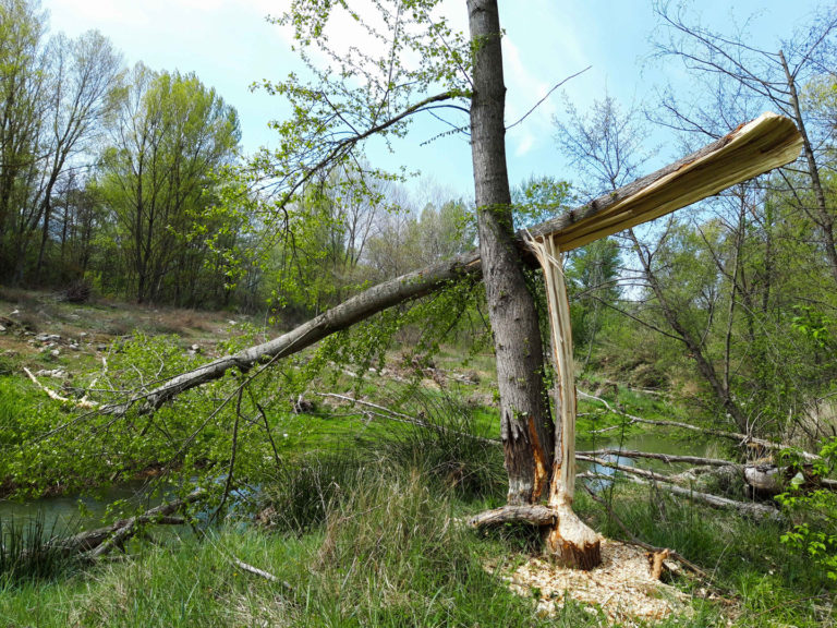 20190411 124849 768x576