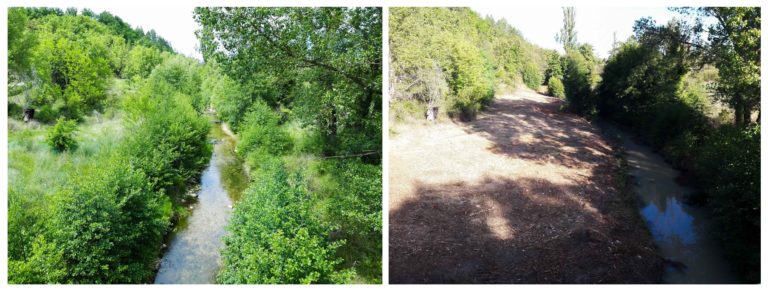 Avant Après 768x292