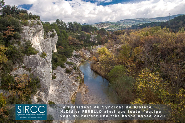 Voeux 2020 V3 768x513