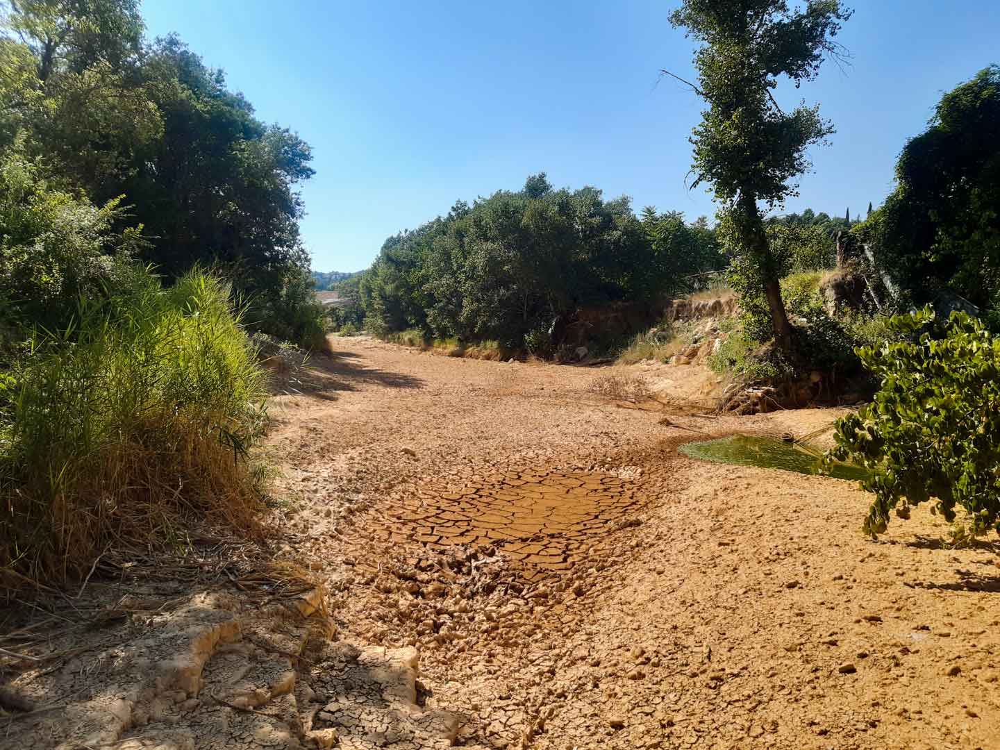 « Alerte Sécheresse » sur le Calavon-Coulon