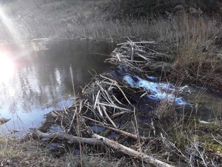 20220202 091857 768x576