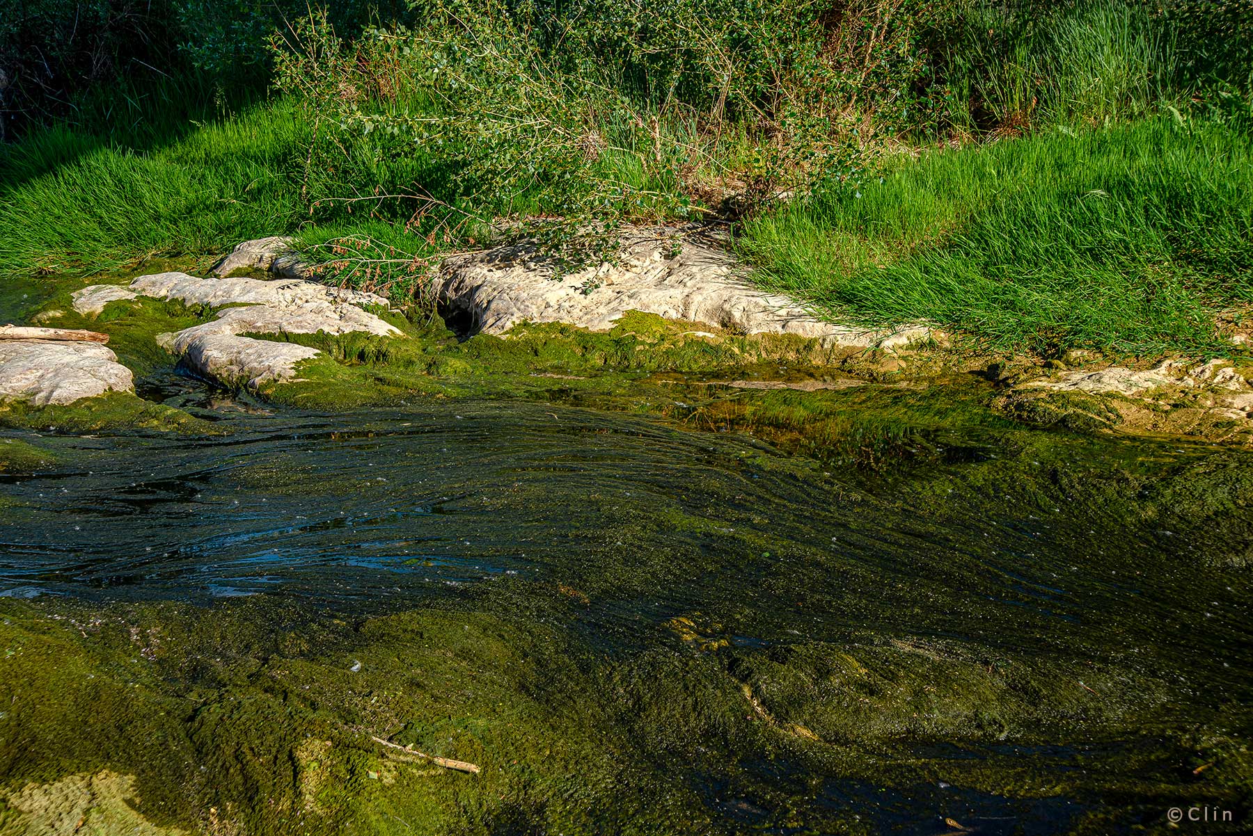 Ici, l&rsquo;eau est d&rsquo;or