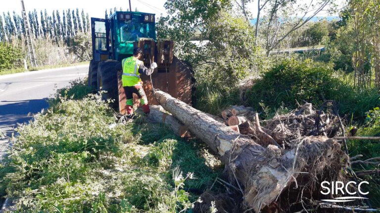 20240419 094536 Logo FB 768x432