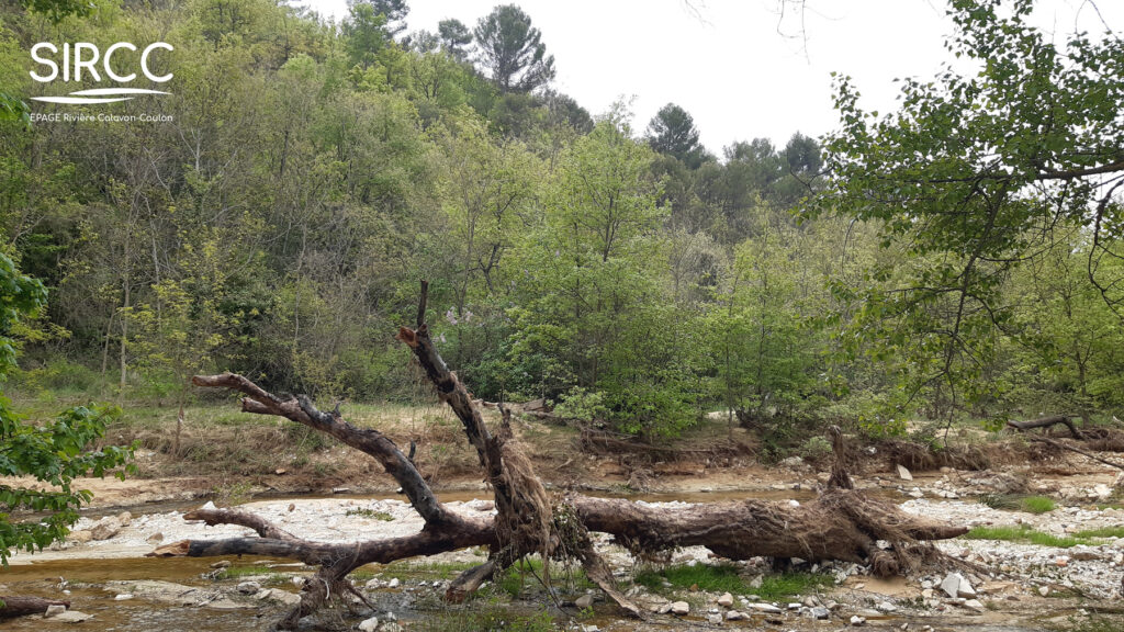 20240426 093702 Logo 1024x576