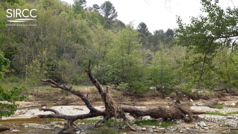 20240426 093702 Logo 768x432