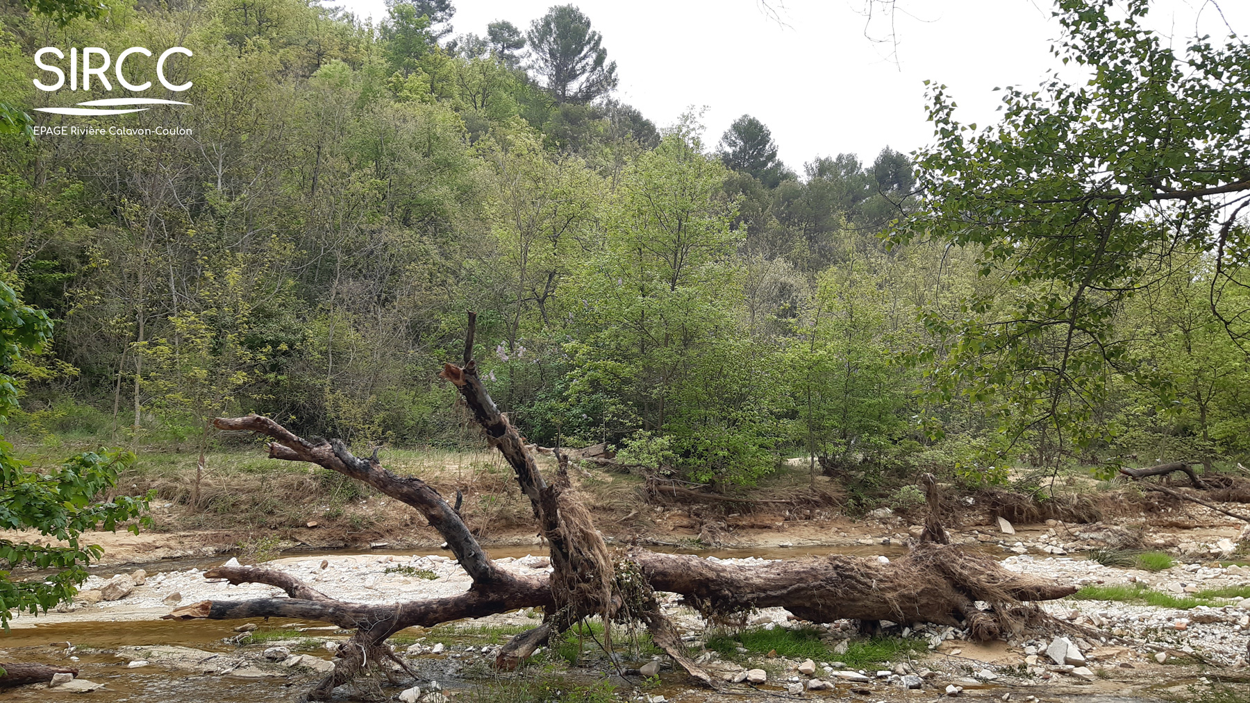 Prospections de terrain