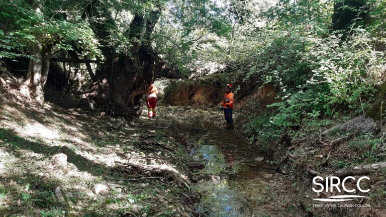 A chacun sa rentrée !