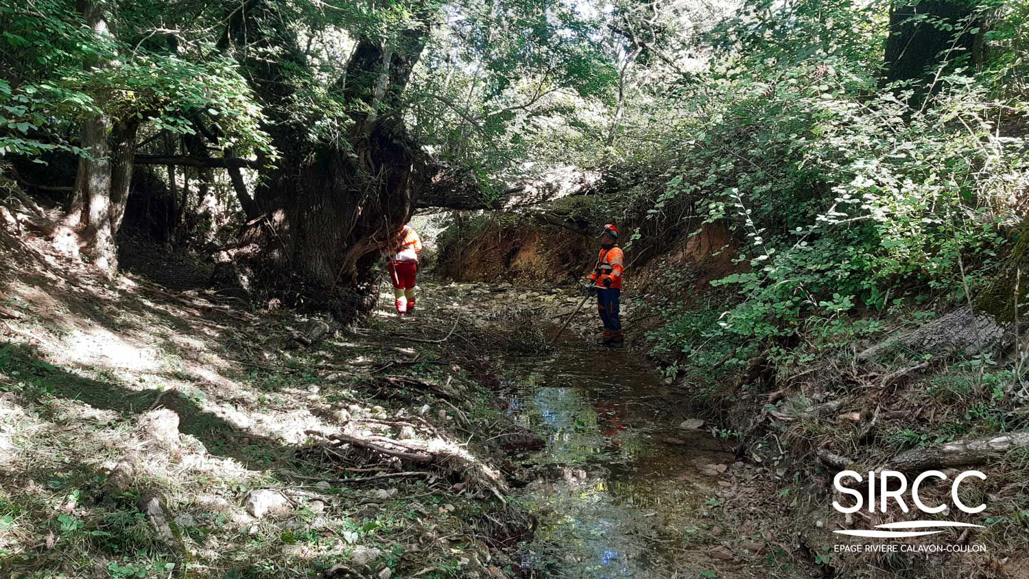 A chacun sa rentrée !