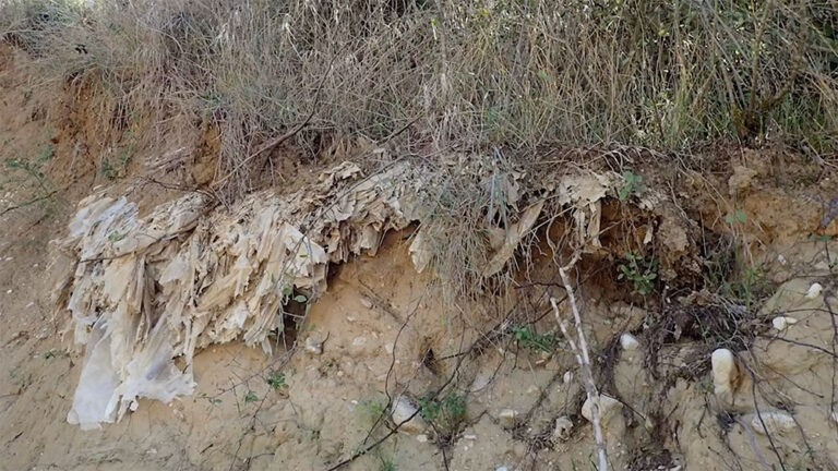 Nettoyons nos Rivières!