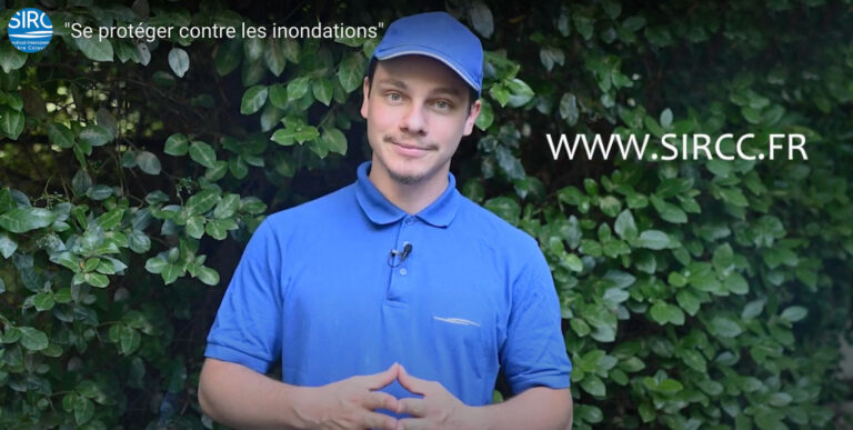 Vignette Article Protection 768x387