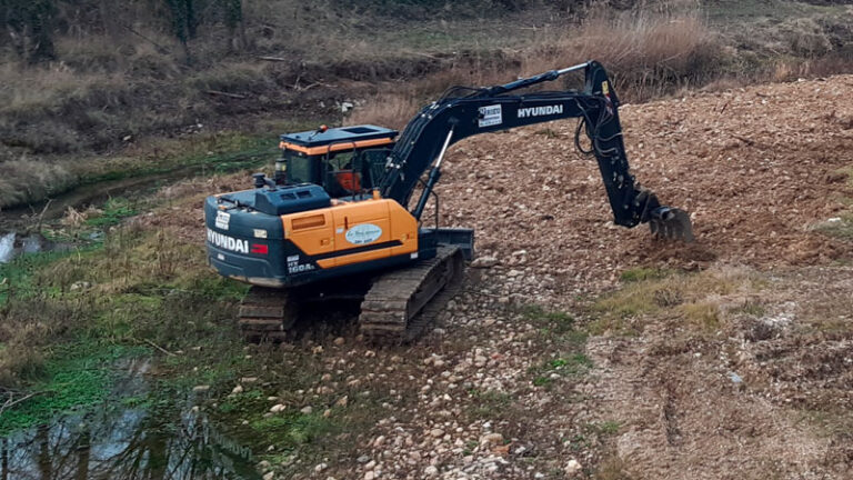 Scarification 2 768x432