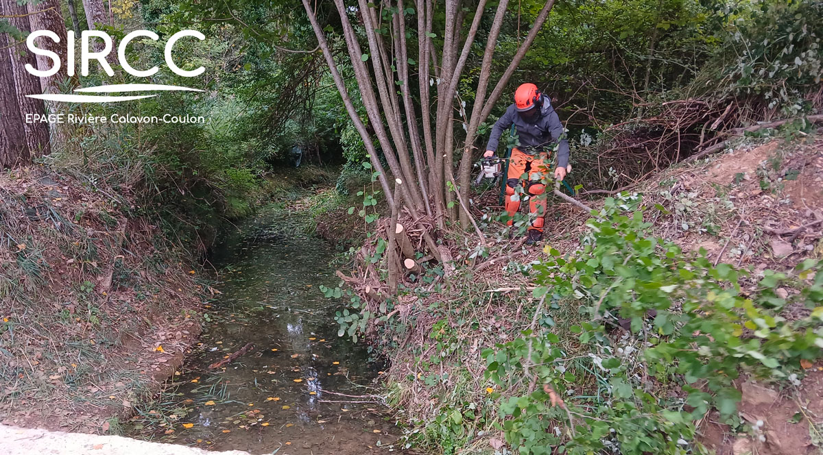Démarrage de la campagne 2025-2026 des travaux de gestion de la végétation des cours d&rsquo;eau !