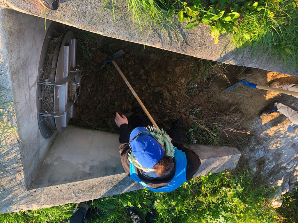 IMG 6105 1500 1024x768