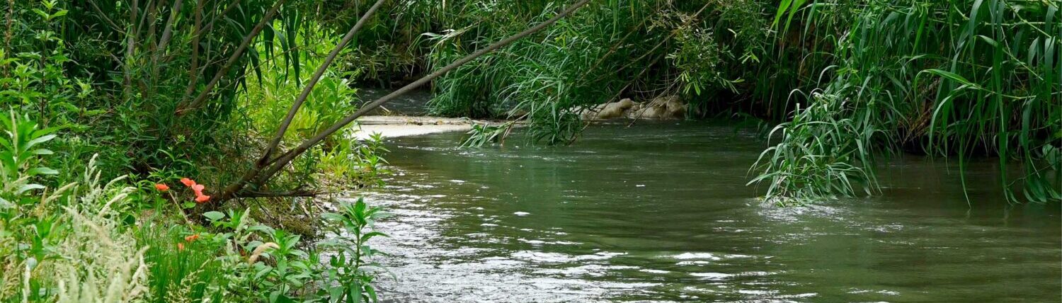 EPAGE Rivière Calavon Coulon